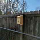 Bild 3 von 8