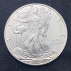 2020 American Silver Eagle Uncirculated 1oz .999 Fine Silver, Toning #0158