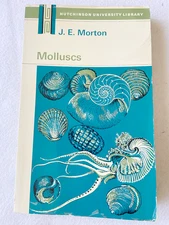 1971 PB Molluscs by John Edward Morton
