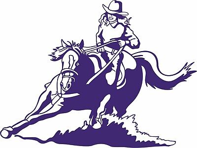 cowgirl up horse barrel racing  LEFT OR RIGHT  VINYL DECAL STICKER 2326 