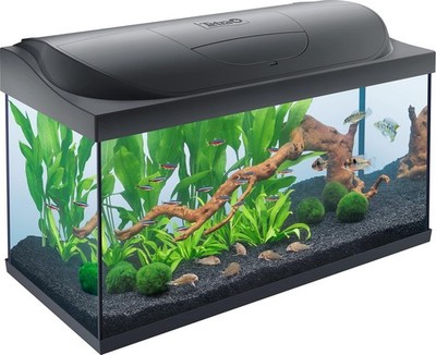 Tetra Starter Line 105 L Aquarium Komplett-Set - inkl. Tag- & Nachtlicht LED