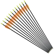 NIKA ARCHERY 24 26 28 30 Fiberglass Arrows for Youth Practise Recurvebow Comp...