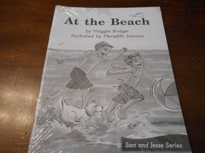 At the Beach  (Take-Home Book:    Blue  System, Book 47) 6 PAK -NEW