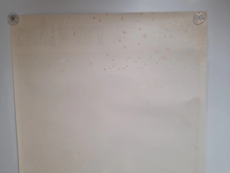 Siouxsie and The Banshees Hyanea Promo Poster - Image 2 of 4