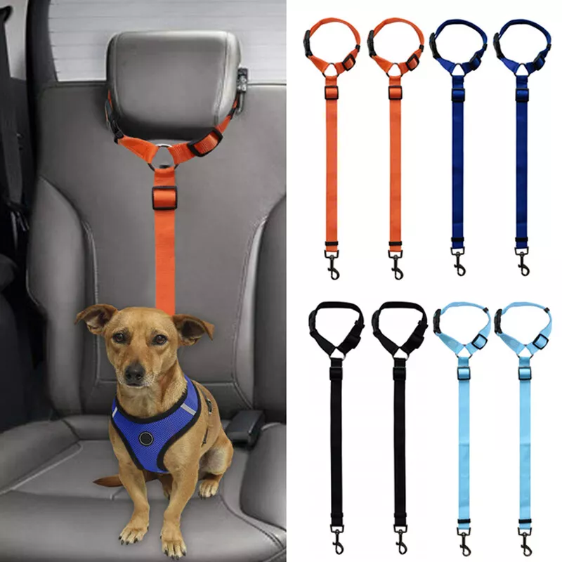 Travel harness top for dogs