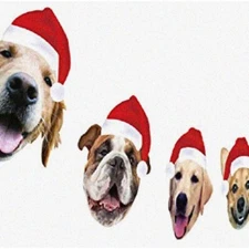 Pawfect Pup Party Pack - Festive Dog Face Hanging Decorations, Ideal Xmas Gift f