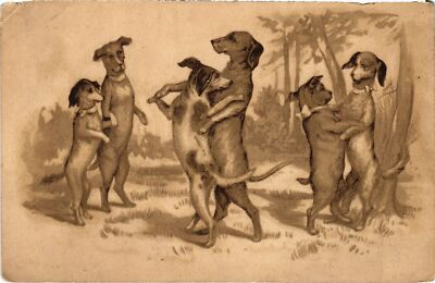 CPA AK Dancing Dogs DOGS (1388114)