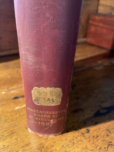 Useful birds and Their Protection 1908 HBDJ By Edward Forbush - Imagen 3 de 11