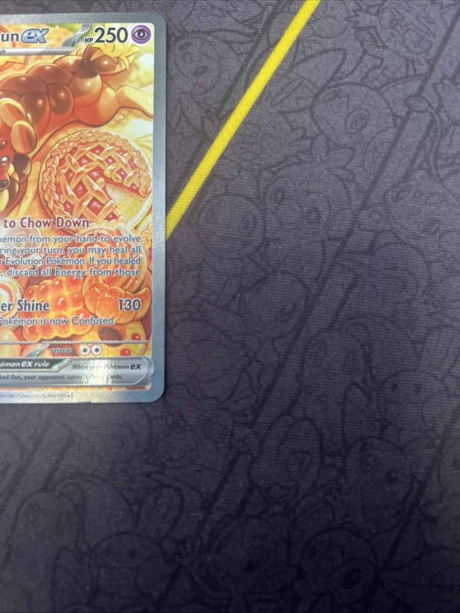 Dachsbun ex 169/142 Sv07: Stellar Crown Holo | eBay