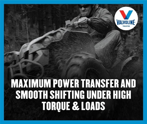 Valvoline 4-Takt ATV/UTV SAE 10W-40 Motoröl 1 QT, Kiste mit 1 6 - Bild 8 von 8