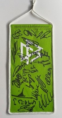 DFB Fußball Wimpel Herren mit 20 Original Autogrammen, vom 4.9.1999, gebraucht