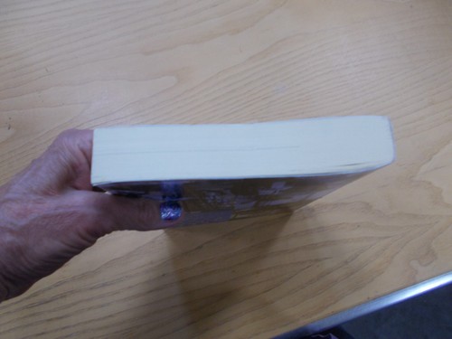 * Great Good Place - Paperback, by Ray Oldenburg - Imagen 5 de 7