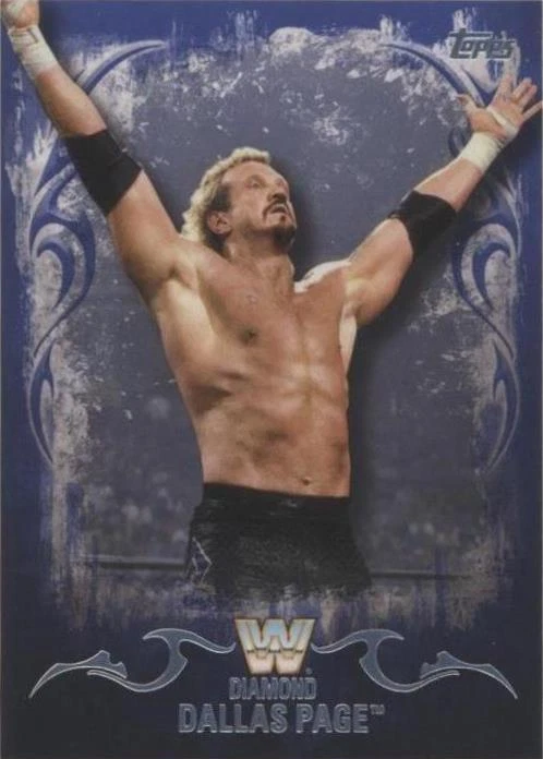 Us Championship Blue