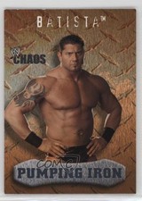 2004 Fleer WWE Chaos Pumping Iron Gold Batista #89 2rz