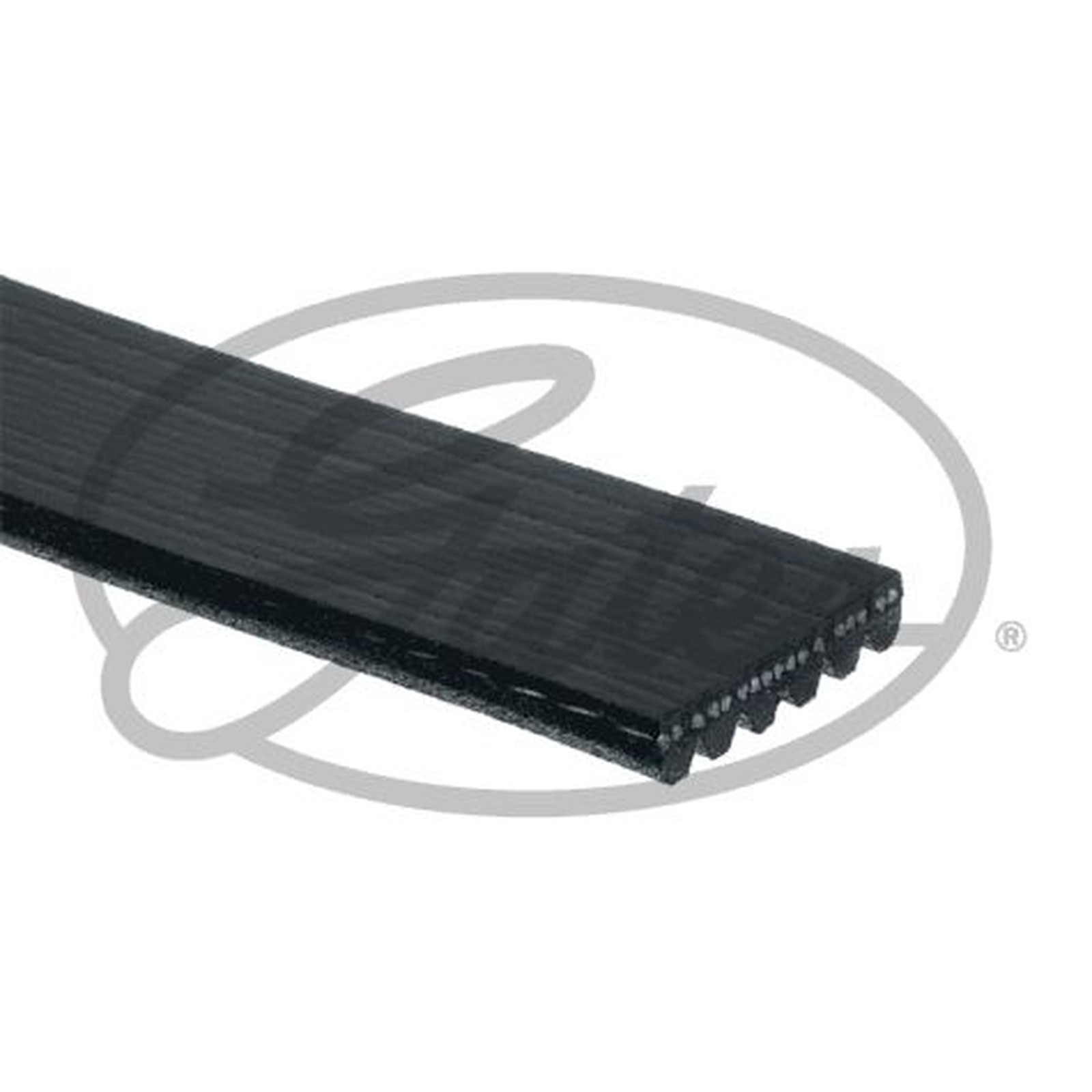 GATES MICRO-V MULTI-RIBBED BELT - 6PK1595 - Image 7