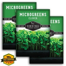Clover Microgreen Seeds Heirloom Non-GMO Red Clover Sprouting (3 Packs)