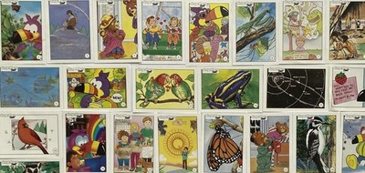 36 Toucan Du Educational Activity Cards Preschool Homeschool Learning Flashcards