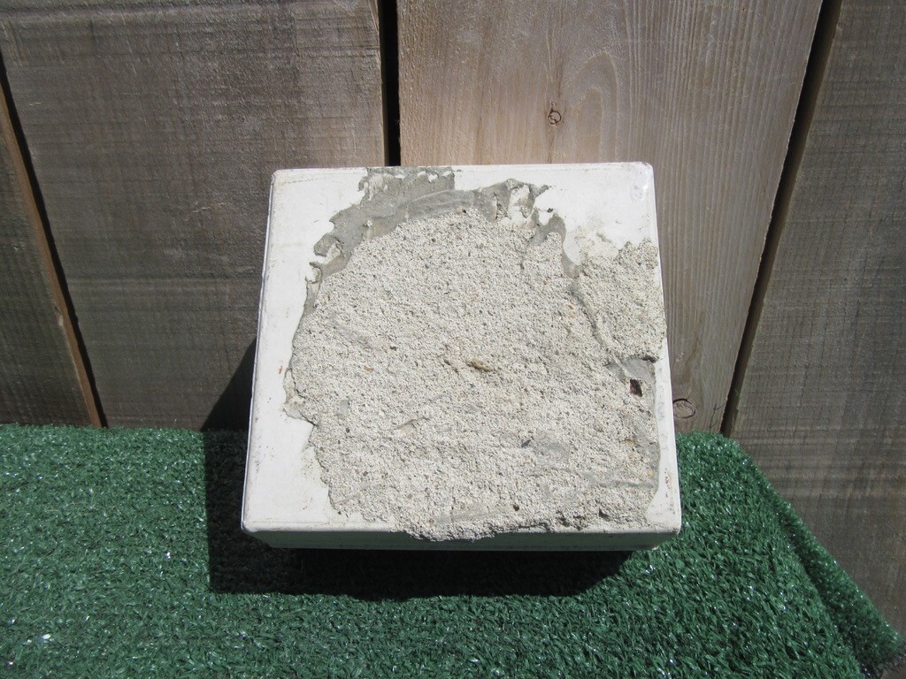 Picture 7 of 8