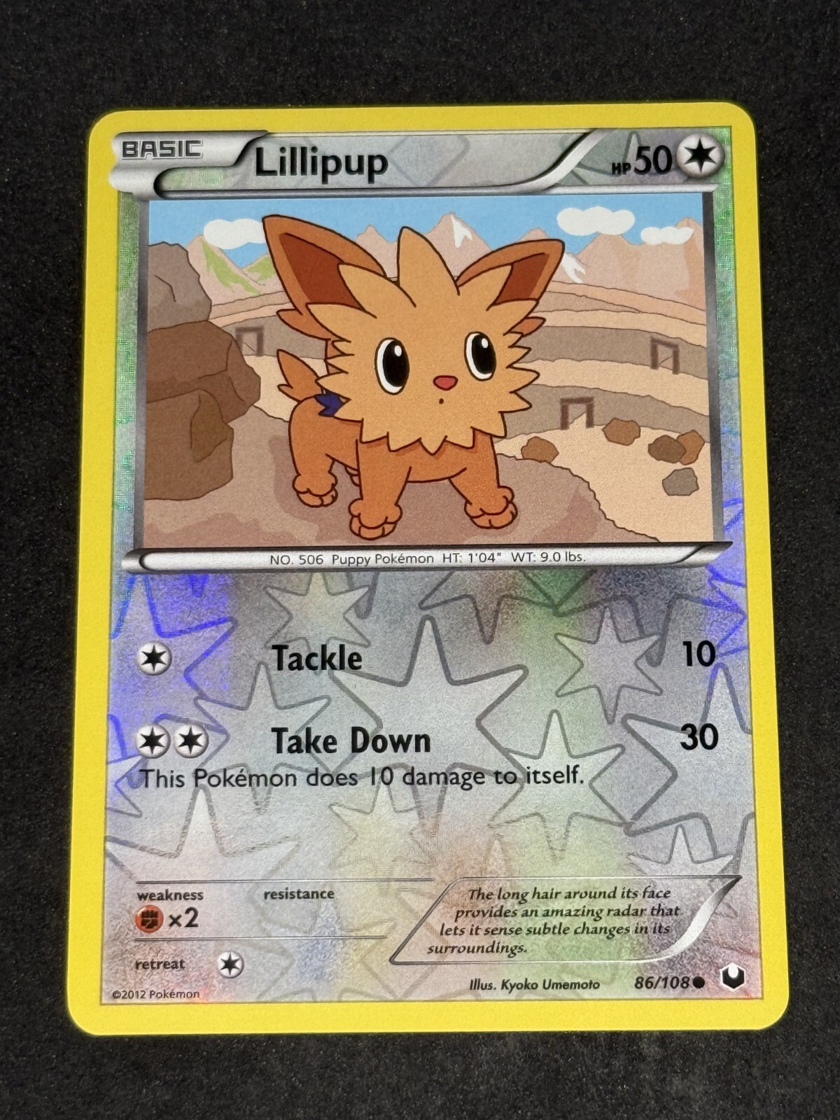 NM Lillipup 86/108 Dark Explorers Reverse