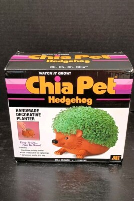 Chia Pet | Hedgehog