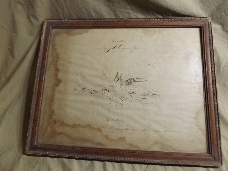 Antique 1897 Folk Art Ephemera Calligraphy Flourish Bird Certificate ~14x18"