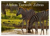 Afrikas Tierwelt: Zebras (Wandkalender 2026 Din A4 Quer), Calvendo Monatskalende
