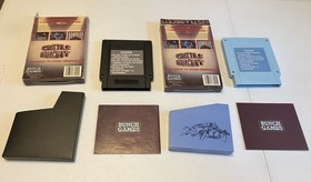 NES CASTLE OF DECEIT BUNCH GAMES! SEE PICS! YOU GET THE BLUE & BLACK! USA SELLER