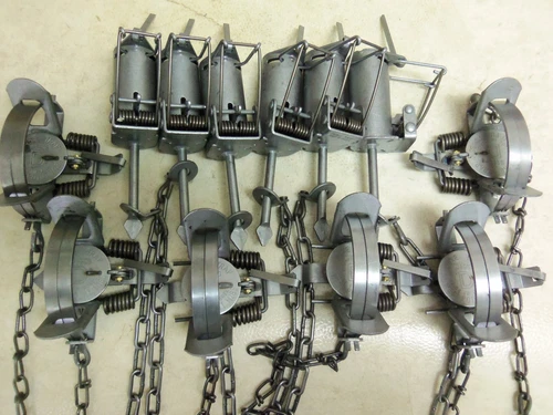 Duke Raccoon Fox Trapping Pkg. 6-Dog Proof & 6-1 3/4 Coil Spring Traps Nuisance