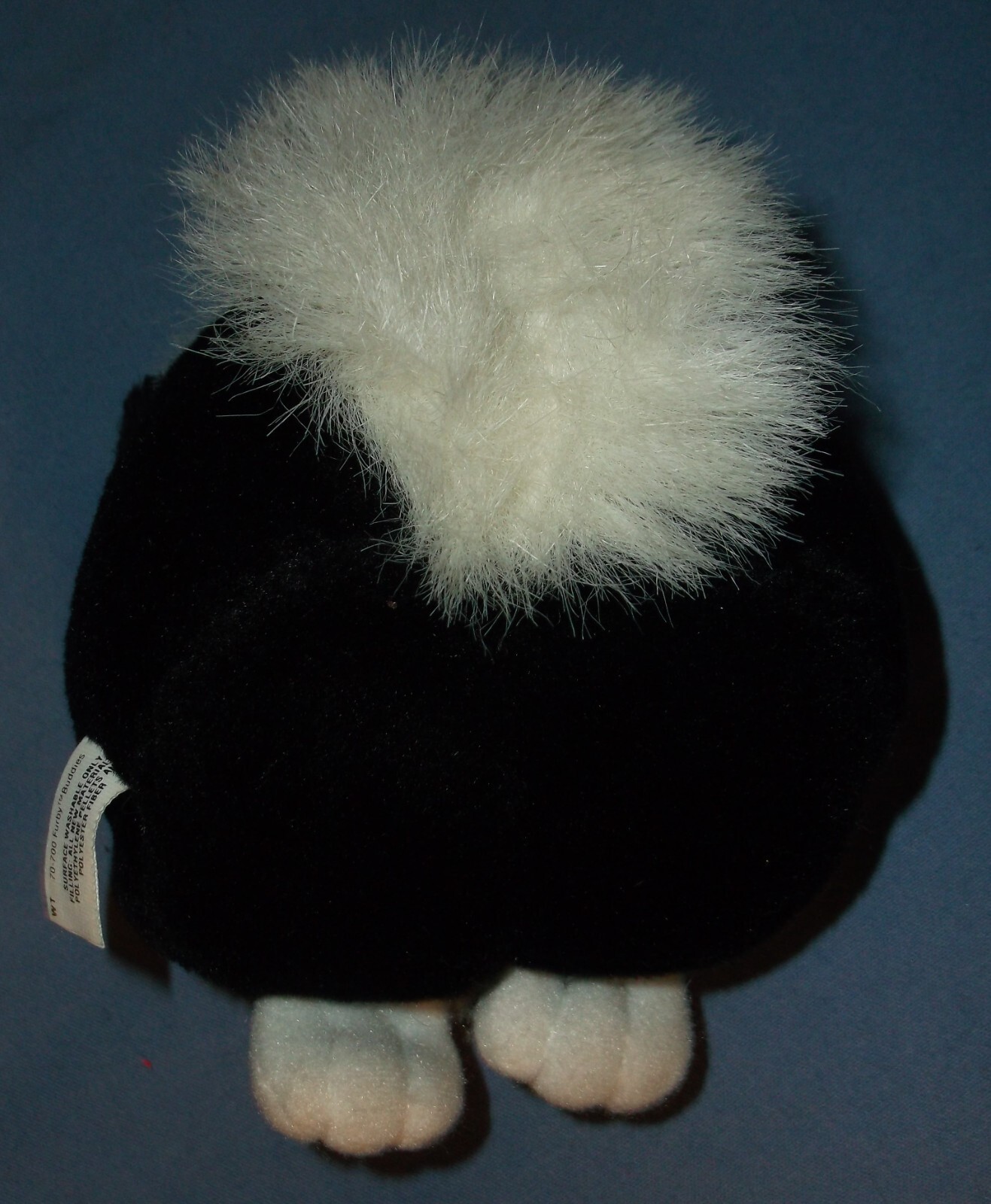 Picture 4 of 5
