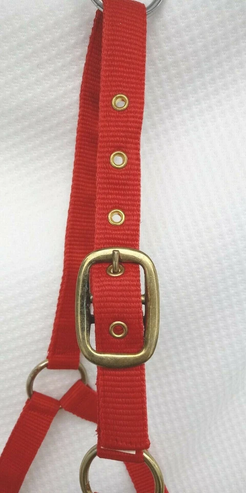Catago Halfter Nylonhalfter Rot+Gold Beschläge 2fach verst. Fohlen = Mini Shetty - Bild 4 von 4