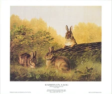 Arthur Fitzwilliam Tait Rabbits on a Log Hare Bunny  On Landscape 17x14.25 in