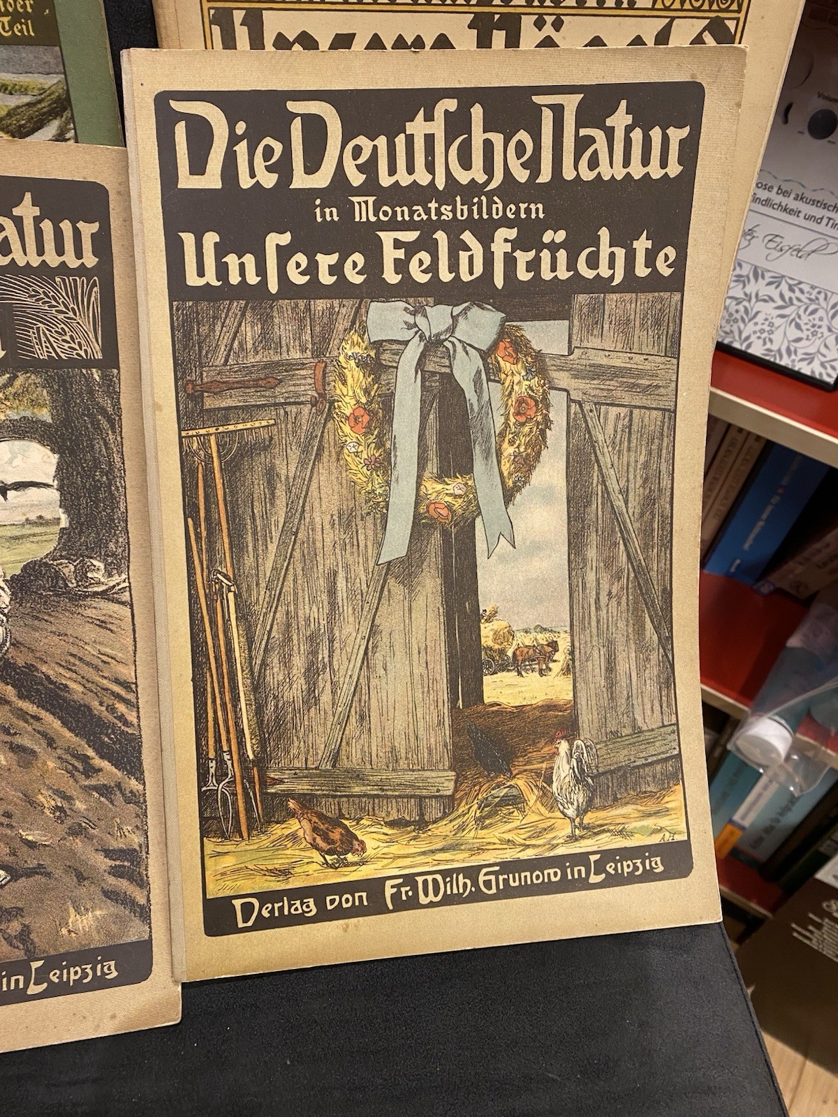 Bild 5 von 7