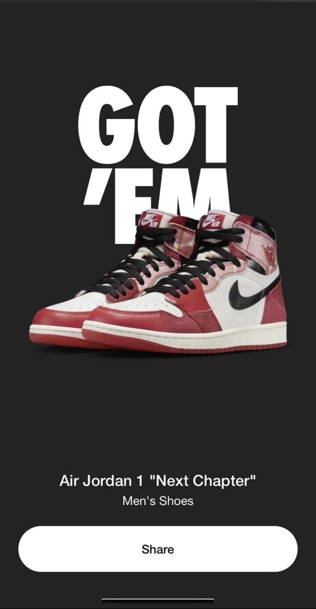 Air Jordan 1 Next Chapter