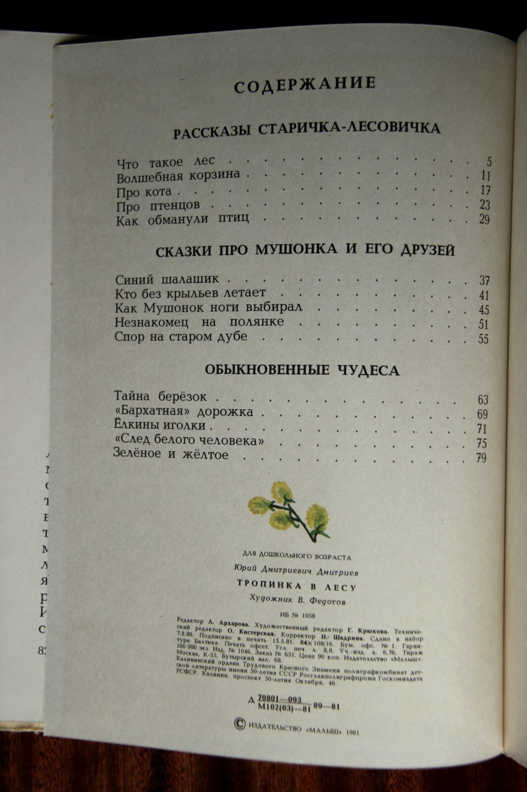 Foto 21 di 22