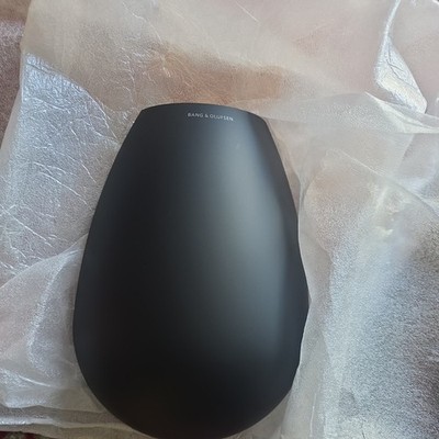 Bang & Olufsen Beolab 11 Subwoofer with extra cover plates | eBay