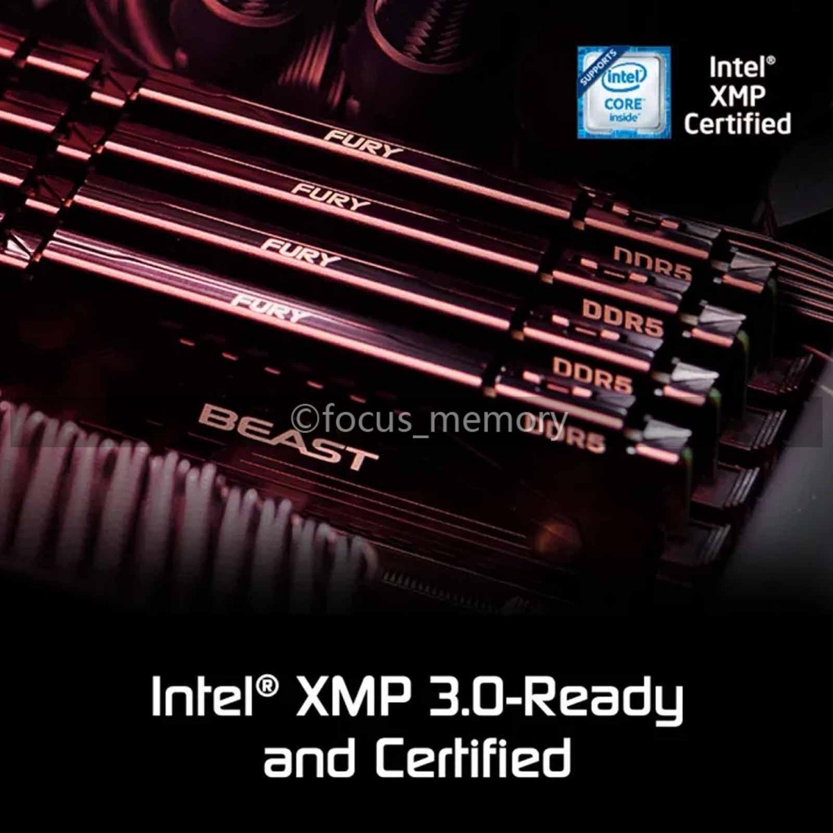 Kingston FURY Beast 32GB (2x16GB) PC5-41600 DDR5 5200MHz Desktop 