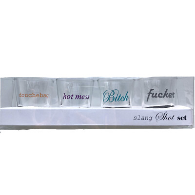 Urban Outfitters Slang Shot Glass Set Of 4 New In Box Fun Gift UO Barware