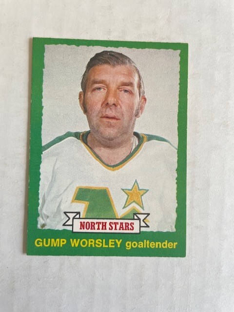 1973-74 O-Pee-Chee Set Break OPC #230 Gump Worsley - Minnesota North Stars NRMT
