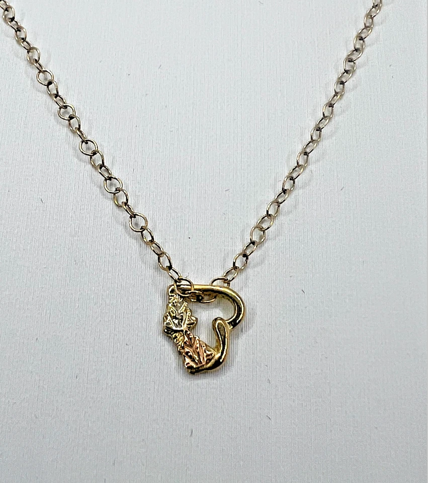 Collar Corazón Delicado Oro Black Hills con Cadena de 18" - USADO. Oro 10K/12K. Foto 4 de 4