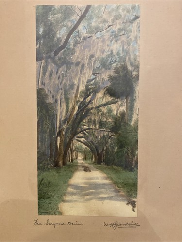 Antique W H Gardiner Hand Tinted Print Of New Smyrna Drive Florida 4.5” X 9 1/4” - Picture 9 of 13