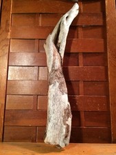 Beautiful 18" DRIFTWOOD Piece Art Terrarium Taxidermy Aquarium Beach Wood DECOR