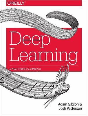 Deep Learning: A Practitioner's Approach by