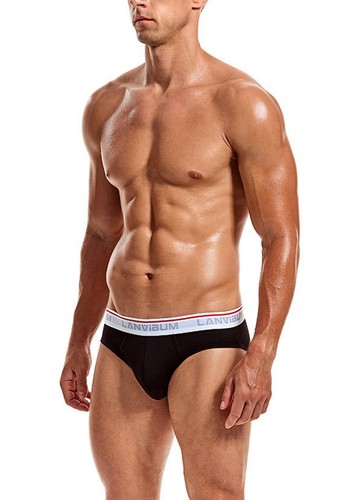 Herren Baumwolle sexy weiche Slips Unterwäsche atmungsaktiv Bikiniunterhose M L XL 2XL - Bild 15 von 36