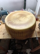 Parmigiano Reggiano Forma Formaggio Plastica esposizione Gadget 