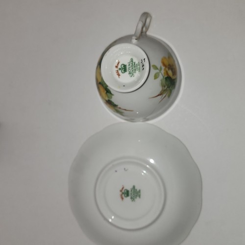 Royal Standard Yellow Wild Rose Light Green Footed Tea Cup & Saucer Teacup - Picture 10 of 11