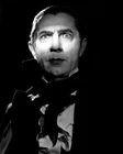 Bela Lugosi #1 Photo 8X10 - Dracula 1931