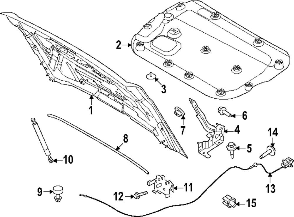 Cilindro de elevación para Ford Bronco 2022-2024 (N/P N2DZ-16C826-B)