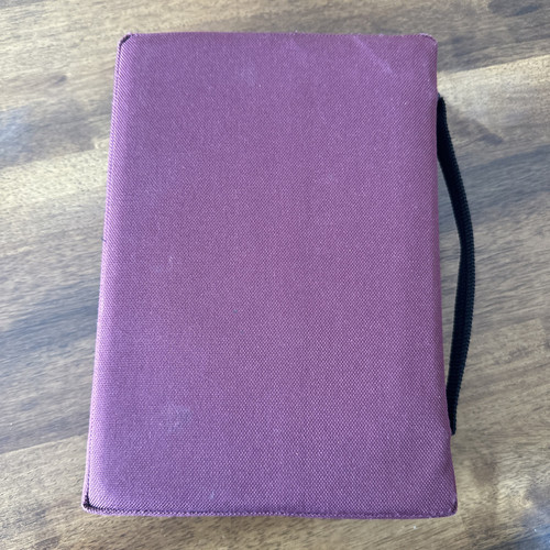 NIV Study Bible Red Letter Tabs Leather Zondervan 2000’s W/cloth Case - Foto 14 di 15