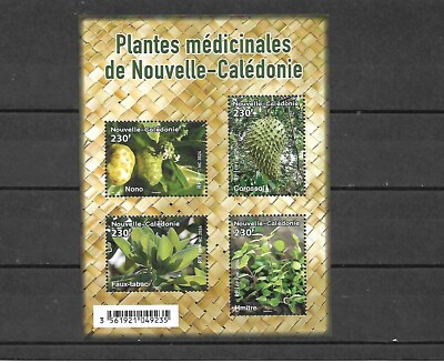 electric daisy plant Electric Daisy Toothache Plant Spilanthes acmella main image 1