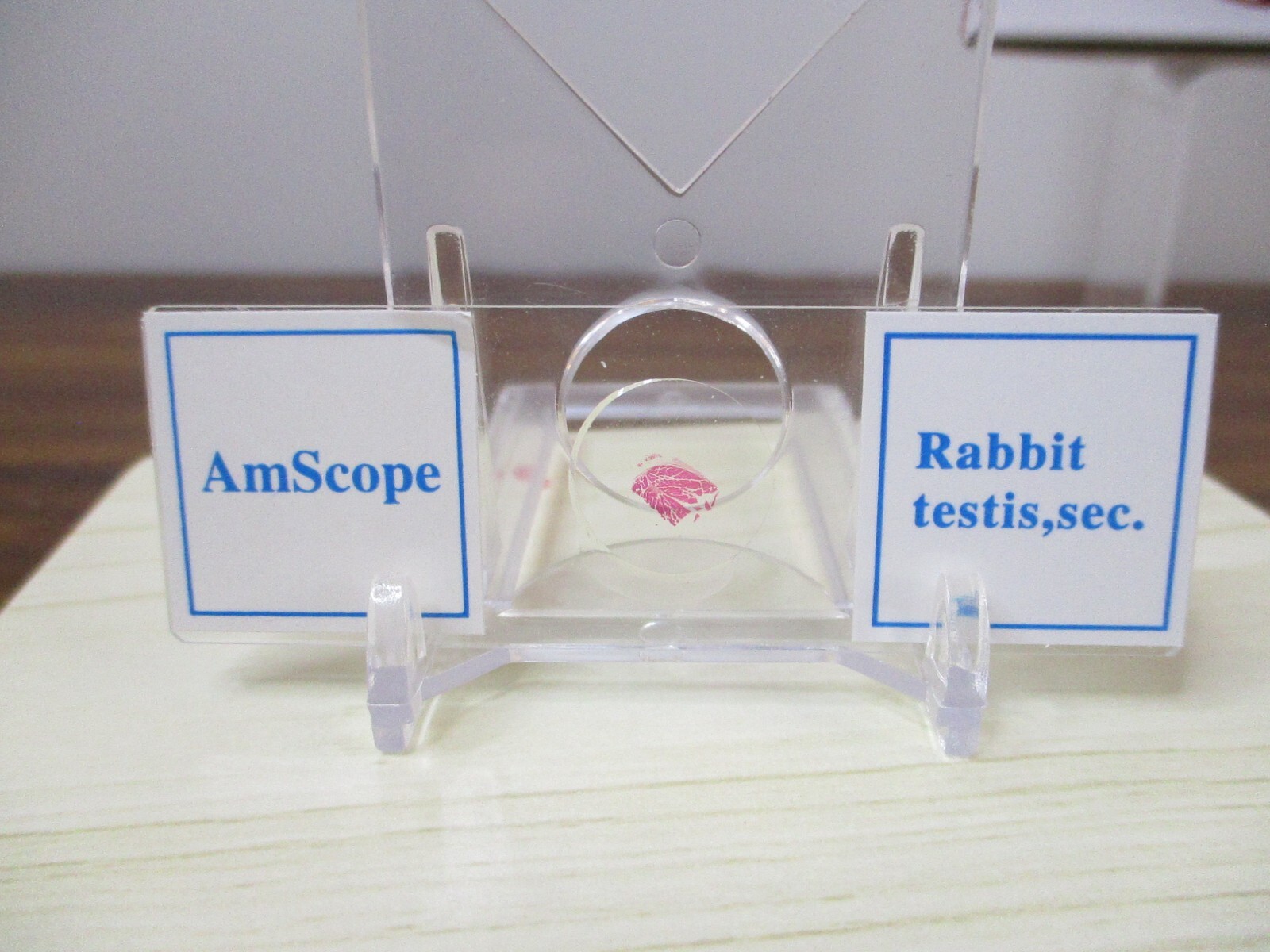 AmScope 25 Prepared Microscope Slides Glass with Wooden Box PS25W NEW